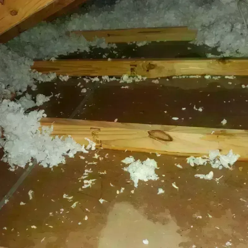 Attic Water Damage in Hodgkins, IL